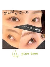 パインツリー(pine tree)/立ち上げカール
