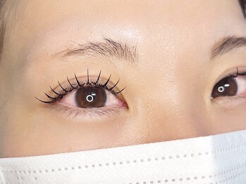 ル リアン(le Lien)の写真/【最新技術LEDエクステ★当店人気No1フラットラッシュ120本】