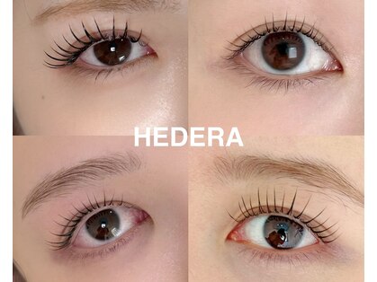 ヘデラ(HEDERA)の写真