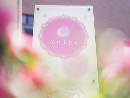 アンアンジュ(anne Anjyu)の写真