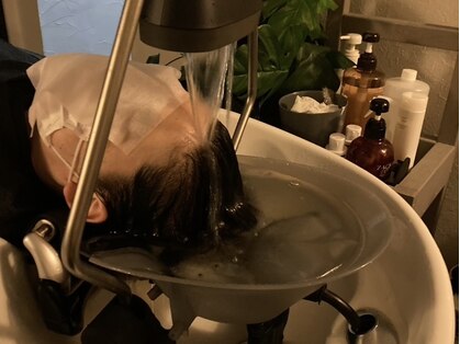 プレマ(Purema)の写真