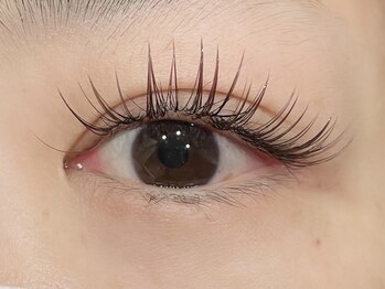 くるり 上野店/フラットラッシュ140本