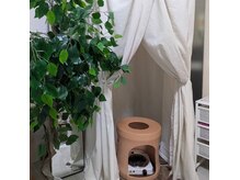 ラ コケット(La Coquette)の雰囲気（結果重視[高品質国産★若よもぎ蒸し協会の草＆高級黄土使用】）