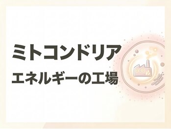 たけ整骨院/脂肪燃焼工場