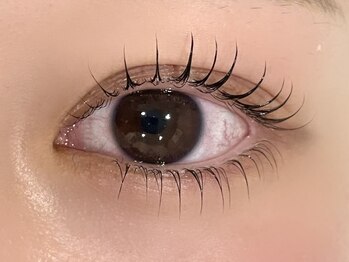 カラーリリー アンド ユン(Calla lily & yun)/上下ラッシュリフト