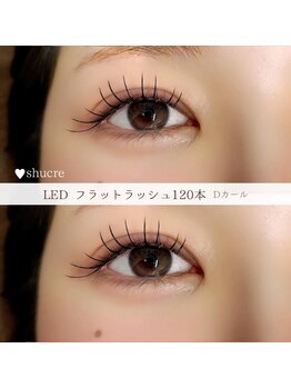 ビューティーサロン シュクレ 津店(shucre)の写真/LEDマツエク導入/人気No.1【Wフラット】持続力が圧倒的に高い◎/韓国風/束感/コーティング仕上げ