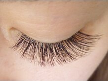 テイラー(Taylor)/ボリュームラッシュ180束　SONE