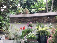 クシロ鍼灸整骨院/家族が手入れする中庭