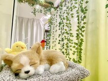 アルコンシェール(Arconciel)の雰囲気（店内は自然でナチュラル空間に）
