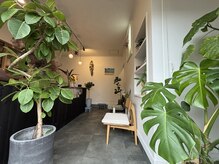 バーンノーク(baan Nook)の雰囲気（入ってすぐ目に入るグリーンに癒されます。スタイリッシュな空間）