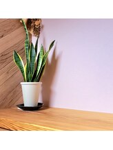 ふくだの樹になる施術院/トイレ内観