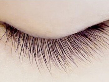 ヨヨ(YOYO)の写真/高濃度美容液d-max導入サロン☆美容液成分配合でハリ・コシのある美まつ毛へ＊本気のまつ毛ケア！