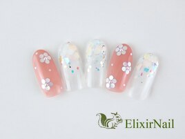 定額a シンプル/クーポン使用