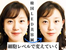アオヤマ サロン ワイゼット(AOYAMA SALON YZ)
