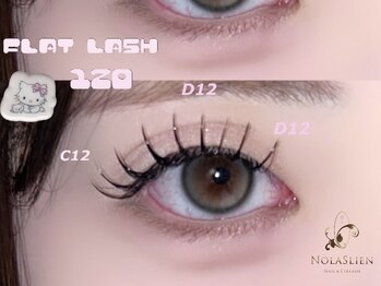 ノーラスリエン(Nolaslien)/フラットラッシュ120本