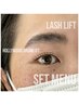 【ご新規様】まつげパーマ＋HBL (毛流れ改善＋眉wax＋メイク込)￥9500
