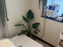 痩身/ダイエット/ハーブ蒸し/水素/リンパマッサージ/ブライダル