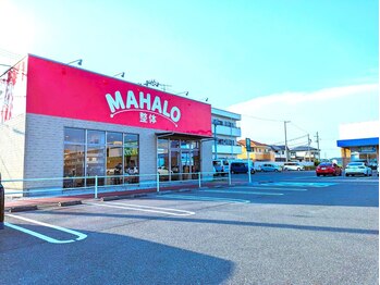 マハロ整体 一身田(MAHALO整体)/