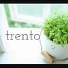 温活アンドリンパケア トレント(trento)ロゴ