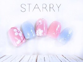 春　桜　乱切りホロ