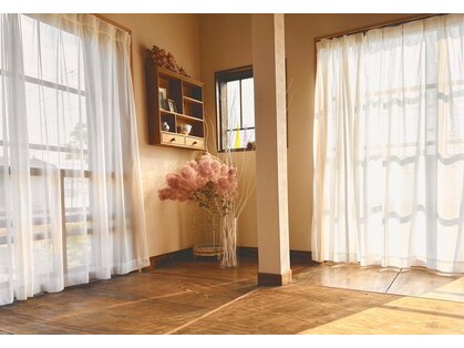 シロ(shiro)の写真