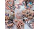 オンニネイル 名古屋栄店(Onnni Nail)の写真