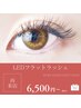 【リピーター様限定】LEDフラットラッシュ80本¥6500/100本¥7000