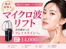 ティー(T)