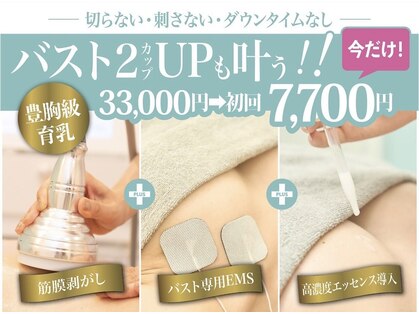 美人バスト 本厚木店の写真