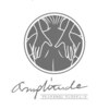 アンプリチュード(Amplitude)のお店ロゴ