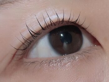 カラン 焼津店(CALIN)/ラスティングカール