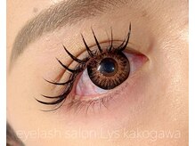 リス(Lys)/バインドロック120束