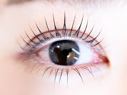ソワ(soie.)の写真
