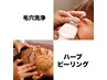◆アプリ　毛穴洗浄＋ハーブピーリング（石膏パック付）