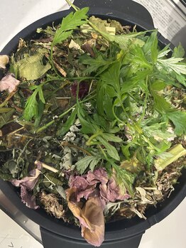 ティアラ(TIARA)/よもぎ蒸し