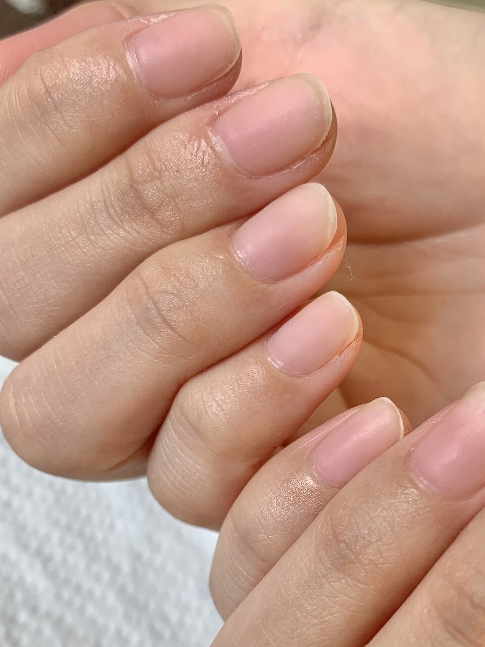 【全員】自爪風クリアネイル（ケア込み）３週間以内\4000
