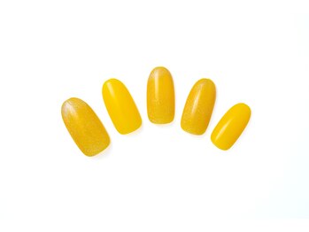 ネイルサロン ディーバ ギンザ(Nail salon Diva GINZA)/One color plus(マグネット)