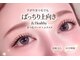 サンパ(SYMPA)の写真