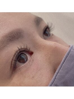 スパークジョイ(SPARK JOY)/フラットラッシュ120本