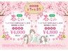 【春もみ60分】全身もみほぐし45分＋ヘッド15分　4000円