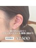 【8月限定】疲れを吹き飛ばす癒し耳ツボジュエリー¥4,000→¥2,500