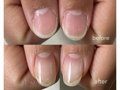 ととりえの写真