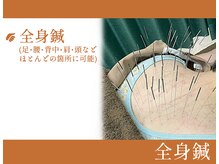 ヤマグチ美容整体院/頭・背中・足・腕など全身に鍼