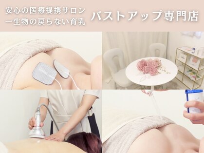 アムール シェリ(Amour Cheri)の写真