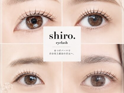 シロアイラッシュ(shiro.eyelash)の写真