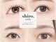 シロアイラッシュ(shiro.eyelash)の写真