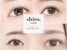 シロアイラッシュ(shiro.eyelash)