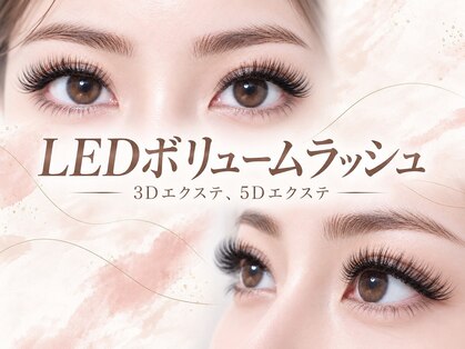 フレイヤ 大元店(Freiya)の写真