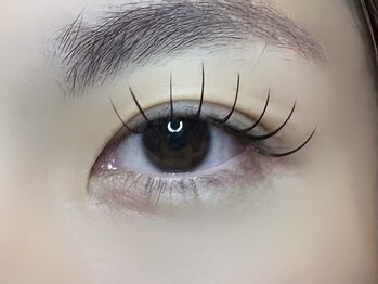 フリー#240(Free#240)/フラットラッシュ100本