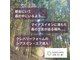 脳ゆる 三軒茶屋の写真
